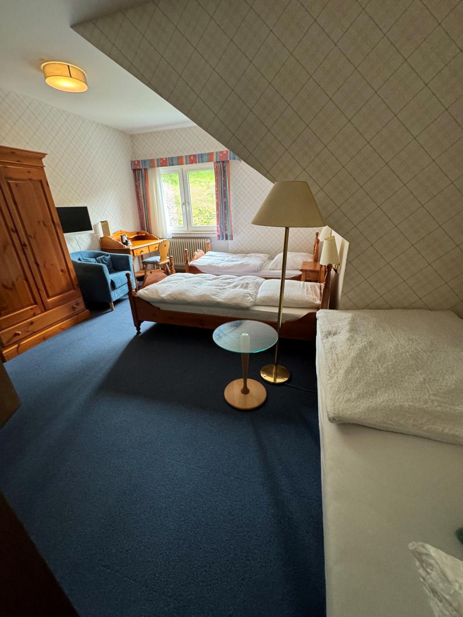 Hotel Zur Muehle ايزيرلون الغرفة الصورة